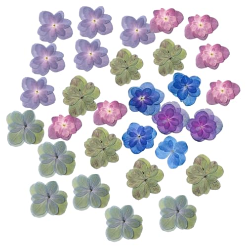 30 piezas de flores secas Double Hydrangea pastel
