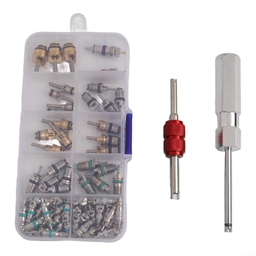 Kit de reparación de núcleos de válvula de aire acondicionado para coche, 102 piezas, R12 R134a, de aluminio y latón, con 2 herramientas y caja para coche y moto para atv scooter eléctrico