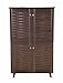DeckUp Bei 4-Door Engineered Wood Shoe Rack with Wooden Legs (Dark Wenge