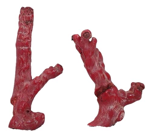 306 Gram Two 6 Inch 4 9/10 Inch Dyed Red Coral Branch Specimen CB8/121324
