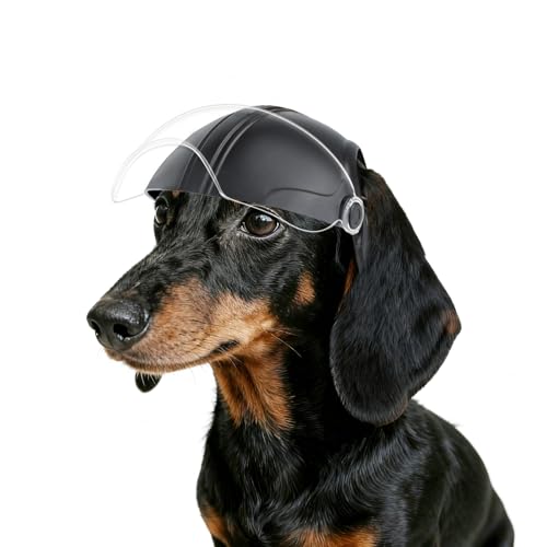 Namsan (iT) pwbg ^ NAYS[Otpwbg t pwbg ^~^p ߉\ ubN