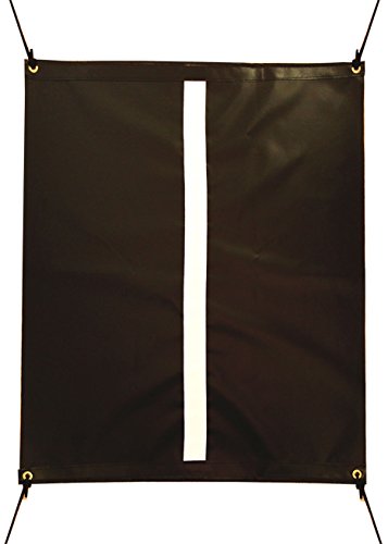 Cimarron Sports Outdoor/Indoor Vinyl Golf Swing Training Aid Target Hitting Net for Accuracy