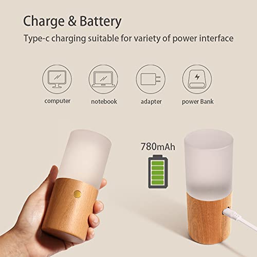 Acrylic Touch Lamp with Gravity Sensor,Night Light for Kids Warm White Light&7 Color Changing RGB,Battery Operated Bedroom Living Room,Kids Room,College Dorm,Office (Beech) (NO-HB015) - Image 7