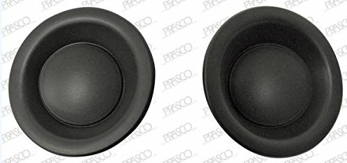 KIT TAPA FARO ANTINIEBLA DERECHA IZQUIERDA 63007675