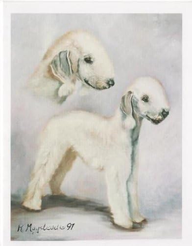 bedlington terrier matted fur