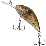 Salmo
