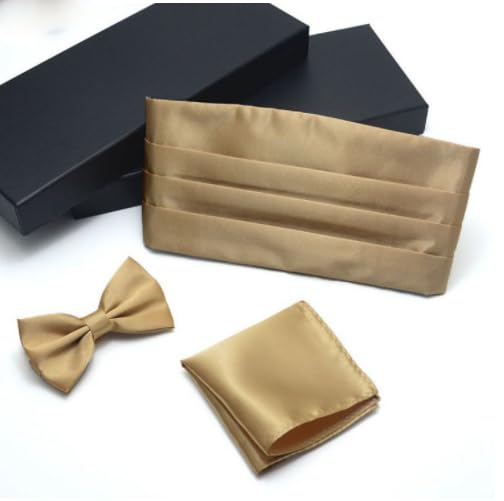 RR DESIGN Boys' Formal Bow Tie and Cummerbund Set, Pre-tied Adjustable Design,Satin, Special Occasion Wear-Black (Gold) 1