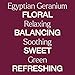 Plant Therapy Egyptian Geranium Essential Oil 100% Pure, Undiluted, Natural Aromatherapy, Therapeutic Grade 10 mL (1/3 oz)