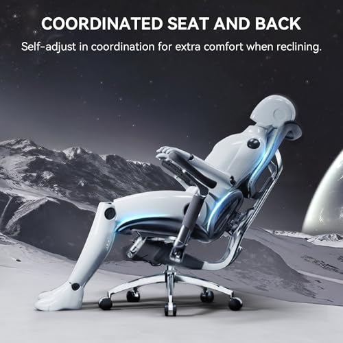SIHOO Doro S300 Ergonomic Office Chair, Full-Body Coordinated Support - image 9