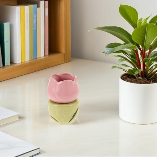 Diffuseur aromathérapie rose contre les odeurs de maison - 7