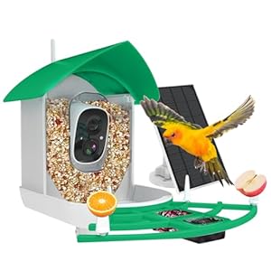 Smart Bird Feeder with Camera, AI Identify Bird Breed, Auto Capture Bird Watching, Solar-Powered WiFi 1080P Live Camera, Motion Detection, Cloud and SD Card Storage (Style 1 – Green)