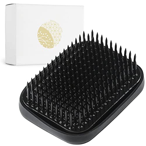 Wazakura Black Ikebana Kenzan Flower Holder 2.6" (68mm) Rectangular Square, Made in Japan Flower Arranging Accessories Pin Frog Tool - Black Rectangular Brass Kenzan 2.6" (68mm)