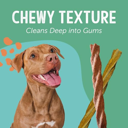 Dental-Chews-Twisted-Sticks-for-Medium-Dogs-Natural-Scrubbing-Action-to-Fight-Plaque-and-Tartar-While-Refreshing-Your-Dogs-Breath-5-Sticks-Chicken Dental Chews Twisted Sticks for Medium Dogs Natural Scrubbing Action to Fight Plaque and Tartar While Refreshing Your Dogs Breath 5 Sticks Chicken