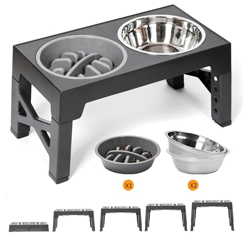 FOREYY Adjustable Elevated Dog Bowls with 2 Stainless Steel Bowls and 1 Slow Bowl, Raised Dog Bowl 5 Heights, Non-Slip Dog Food water Bowl Stand for Small Medium Large Dogs(Gary)