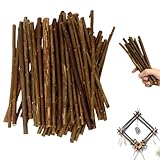 Bâtons en bois naturel de saule pour loisirs créatifs DIY, branches solides avec écorce, tiges décoratives pour...