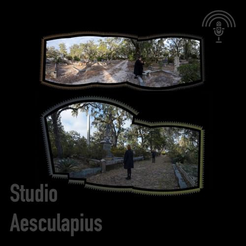 Steve Bliss: Cemeteries (In Collaboration)