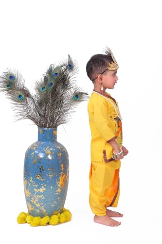 Image of Raj Fancy Dresses Radha and Krishna Brocade Fabric Janmashtami Mythological Character Costume