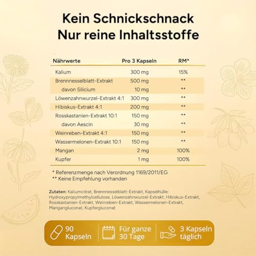 Entwässerungstabletten - Brennnessel Kapseln gegen Wassereinlagerung in den Beinen - Diuretika ohne chemische Entwässerungskapseln - 9-Fach Komplex – 90 Kapseln