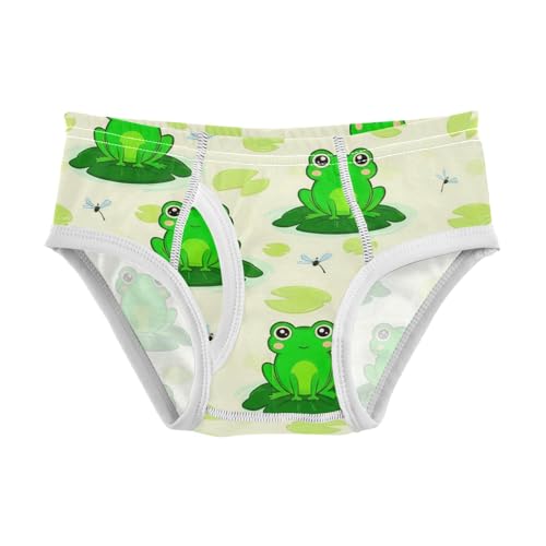 CHIFIGNO Green Frogs Cute Underwear for Boys Soft Cotton Briefs Little Boys Breathable Briefs Underwear