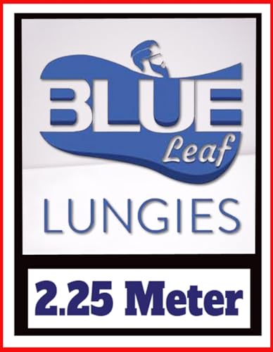 Image of BLUE Leaf Men's 2.25 meter Cotton Multi Color Lungies for Men (Set of 5 Combo)