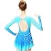 Kmeruoys Figure Skating Dress for Women Girl Competition Skating Wear Tutu Dance Dress (Color : Blue, Size : 120CM)