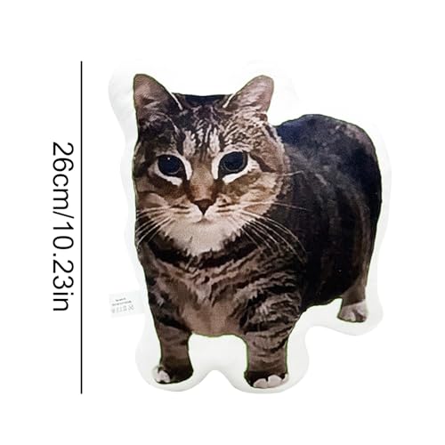Coussin de chat en peluche douce oreiller décoratif de chambre