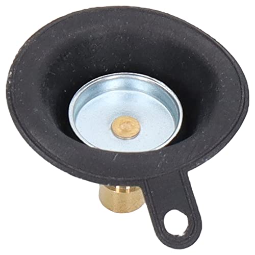 Kit di ricostruzione carburatore, 2 Set Kit di