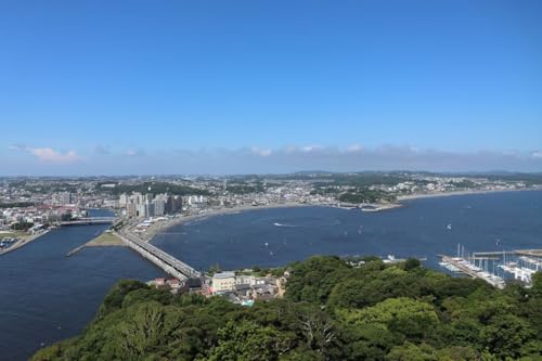 y{̕i|XgJ[hz_ސ쌧s]̓勴2025̃nKL͂photo by MIRO