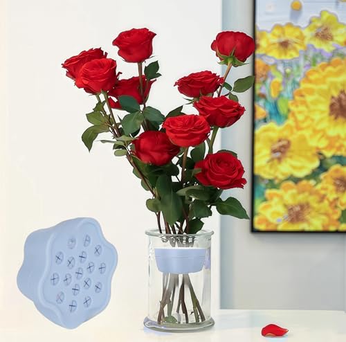 RAKSONIC Spiral Ikebana Stem Holder,2024 Spiral Stem Holder for Vases, Spiral DIY Bouquet Twister Flower Arrangement Holder Clear
