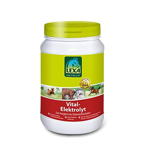 Vital-Elektrolyt 3 kg Eimer