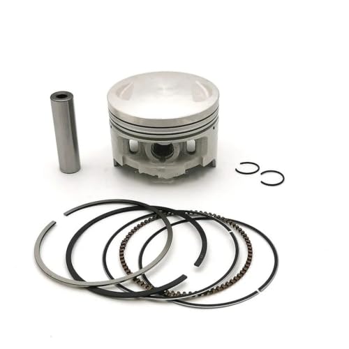 Kit piston 65.5 mm avec axes et segments pour moto TYAN TY223 et Bosuer 250cc