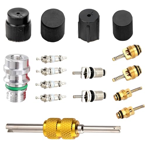 SLIMI 16 PCS Car Air Conditioning Valve Core Kit, A/C Core System Repair Kit, A/C Valve Charging Port Seal Set, Universal Conditioner Repair Tool, for Most Cars, SUVs, Trucks (Black)