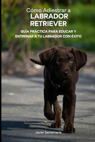 Cómo Adiestrar al Labrador Retriever: Guía Práctica para Educar y Entrenar a tu Labrador con Éxito