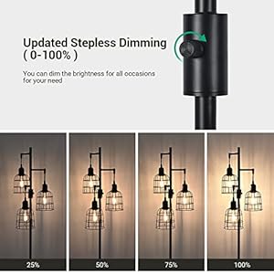 EDISHINE Farmhouse Dimmable Floor Lamp, 3 LED Edison Bulbs Included, Industrial Tree Standing Lamp for Living Room, 3 Metal Birdcage Lampshade, Rustic Tall Corner Lights for Bedroom, Family Room EDISHINE Farmhouse Dimmable Floor Lamp 3 LED Edison Bulbs Included Industrial Tree Standing Lamp for Living Room 3 Metal Birdcage Lampshade Rustic Tall Corner Lights for Bedroom Family Room