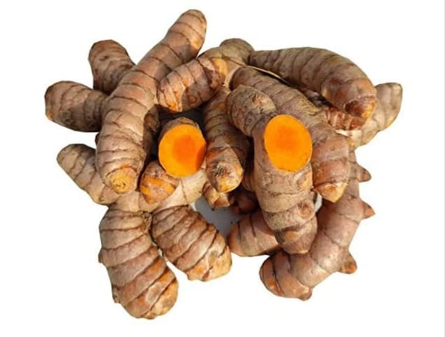 Kakran Organic Raw Turmeric Roots (Kacchi Haldi) – 100% Chemical-Free, High Curcumin, Fresh & Handcrafted – Ideal for Cooking, Herbal Teas, Skincare & Traditional Ceremonies – Natural Immunity Booster,Kacha Haldi – Ayurvedic Herb (100 % Organic, Non - GMO