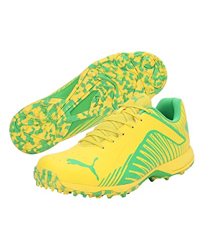Image of Puma Men 22 FH Rubber Cricket Shoe