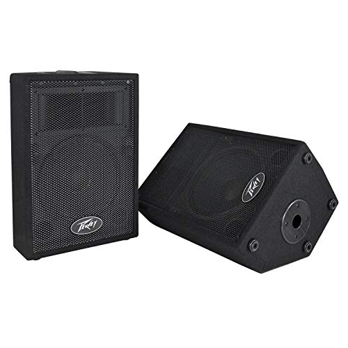 Peavey DJ 2-Way 100 Watt PA Speaker System with 10" Woofers (2 Speakers) | PVi10