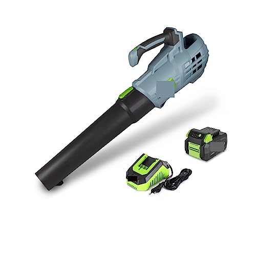 PHYTOTREE Soplador de Hojas inalámbrico con batería de 20V 4.0Ah, soplador de Aire de Velocidad Variable for Polvo, Herramienta eléctrica de jardín for soplar Nieve - Sopladores