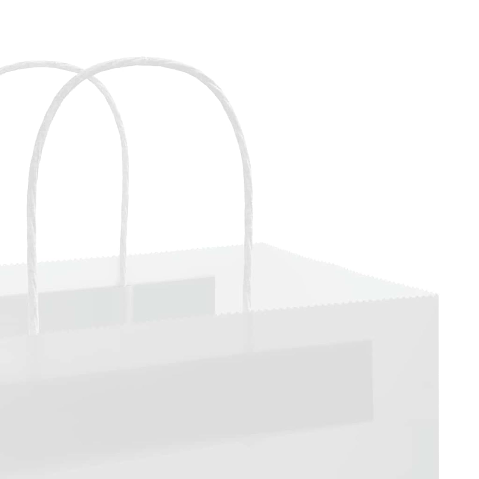 Fecpoo Torby papierowe 250 sztuk – białe torebki z papieru typu kraft, 21 x 11 x 31 cm, ze stabilnymi uchwytami linowymi papierowymi, idealne do pakowania prezentów i sprzedaży detalicznej