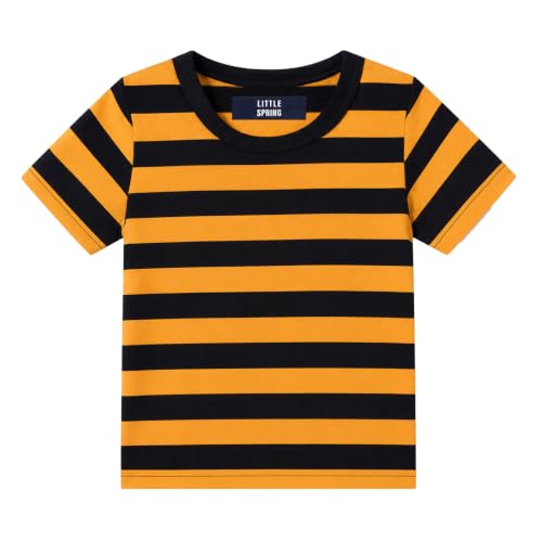 Image of LittleSpring Boys Girls T Shirt Rainbow Striped Cotton Crewneck Tees for Kids Fashion