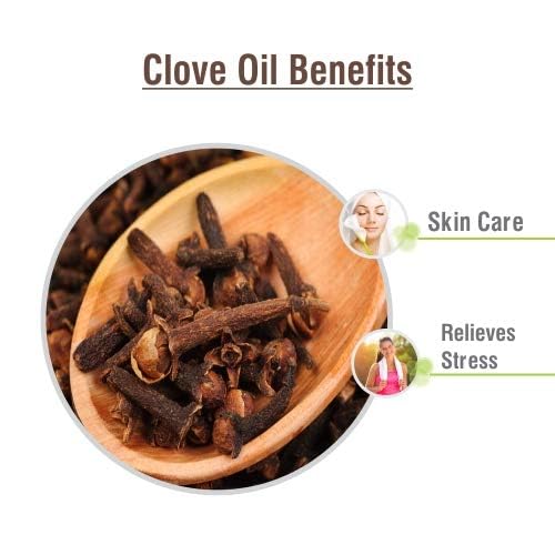 Image of Crysalis Clove Bud Oil 30 ml (1.01 fl oz) - High Eugenol Steam Distilled Oil for Oral Care Preparations, Warming Blends & Soap Making