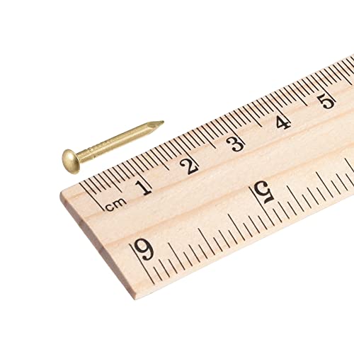 QUARKZMAN Kleine winzige Messingnägel 2x20mm für DIY Dekorative Bilder Holzkisten Haushaltszubehör 100 Stück