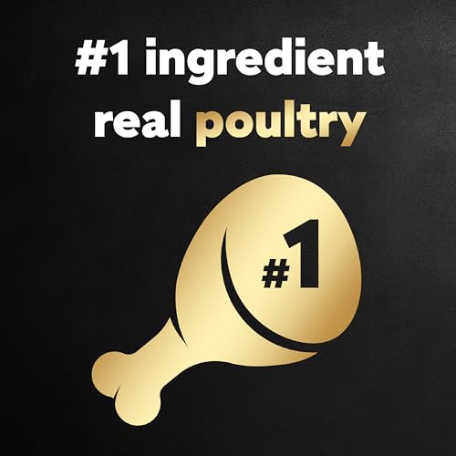 Cesar Wet Dog Food Poultry Lovers Variety Pack with Real Chicken, Turkey and Duck, 3.5 oz. Easy Peel Trays (36 Count, Pack of 1) - Thumbnail 4