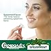 Choward's Spearmint | Unique Aromatic Flavors for Everyday Freshness | Perfect for Travel, Sharing, and Gifting | Distinctive Taste in Convenient Packaging | Pack of 24 (15 Mints Per Package, 24 Packages Per Box)