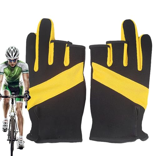 Ahuuen tBbVO O[u | mXbv tBbV[} MA,Lb`Op tBbV O[u - j  e vtFbVi v ގ