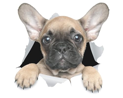 Winston & Bear Dog Adesivi 3D - 2 Pack - autoadesivo sveglio Bulldog francese per la parete, frigorifero, servizi igienici e di più