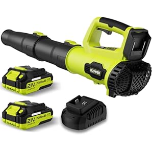 Leaf Blower, 21V Cordless Electric ...