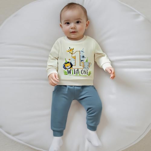 WZTYYDS Baby Boy First Birthday Outfit Long Sleeve Sweatshirt Tops Wild One Birthday Shirt Pants Set Fall Clothes2