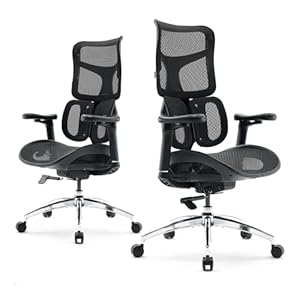 SIHOO Doro S100 Chaise de Bureau Ergonomique – avec Un Soutien Lombaire Dynamique Double, Dossier réglable sur 5 Niveaux, accoudoirs coordonnés en 4D, Angle d’inclinaison Maximal de 135 degrés, Noir