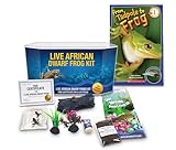 African Dwarf Frog Starter Kit- Includes Certificate for 2 Live Frogs- All-in-One Bundle with Book, Small Aquarium, Food, Instructions Now